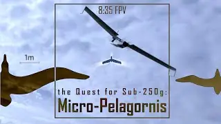 Micro-Pelagornis - Sub-250g Long Range Foam Build | 8:35 FPV