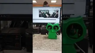 AINT308: Owl mimics Human eye movement (Cross-eyed)