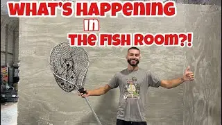 SAVING ALL MY MONSTER FISH FROM A DISASTER!