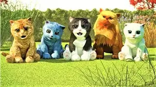 Cat Simulator - Fun Game Kittens 3D For Kids  - News Game Funny - Cute Cat Simulation Game