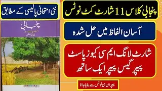 Punjabi Class 11 Guess Paper 2024 For Paper Prepration , 1st Year Punjabi Urdu Book Notes