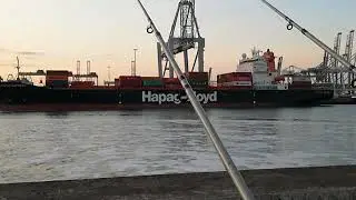 Vissen Europoort