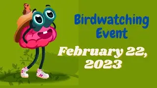 Wordbrain Birdwatching Event February 22 2023 Answers