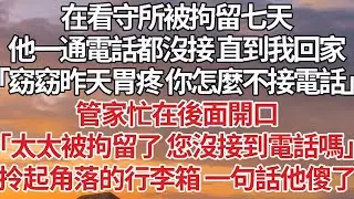 【完結】在看守所被拘留七天，他一通電話都沒接 直到我回家，「窈窈昨天胃疼 你怎麼不接電話」管家忙在後面開口，「太太被拘留了 您沒接到電話嗎」拎起角落的行李箱 一句話他傻了#婚姻 #豪门 #情感