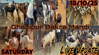 Ghazipur Bakra Mandi Live Update 18/10/2025 Delhi 