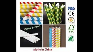 Paper Straws Manufacturer (2008 to present)