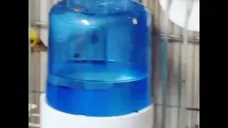Verdier mutation panach&eacute;
