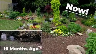 Adding Color to the Garden