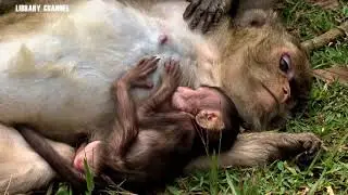 Amari so tired when give milk to her baby Lori