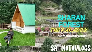 WILD FOREST TREKKING AND CAMPING AT SHARAN | PAKISTAN ( Aug 2024)
