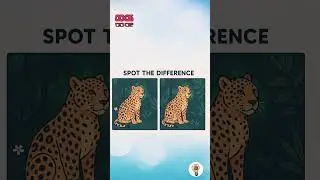 🔍 Spot the difference before time runs out!#relaxingmusic #puzzlesandriddles #viral #shorts