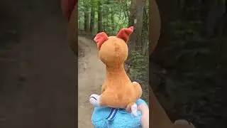 Dog of Wisdom In Real Life
