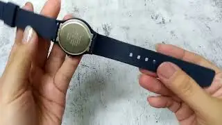 ECH21