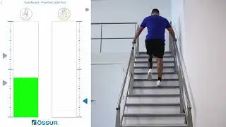 Stair Ascent Step Over Step &ndash; Two Hand Support (Navii Functional Training - Ossur Logic App)