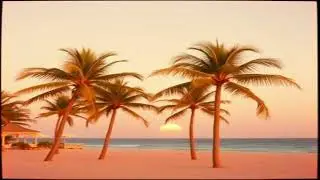 Back From the Island