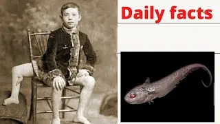 onion eye grenadier fish have you ever seen