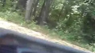 MPEG0011