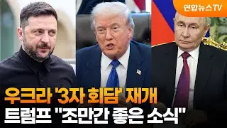우크라 '3자 회담' 재개…트럼프 