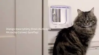 Drzwiczki dla kota microchip Connect SureFlap&reg; - PL