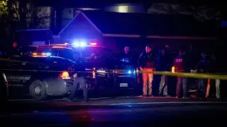 At least four killed in horror mass shooting at children&rsquo;s birthday party in California