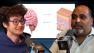 Jay Dhaliwal: Brain&ndash;Skin Connection: How Touch Rewires the Mind in Real Time