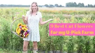 9 Best Cut Flowers for a U-Pick Flower Farm| Gardening