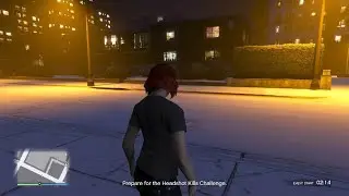 Grand Theft Auto V