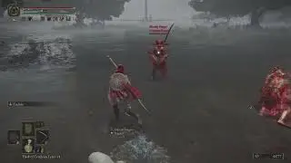 ELDEN RING - when Invaders are friendly!?..