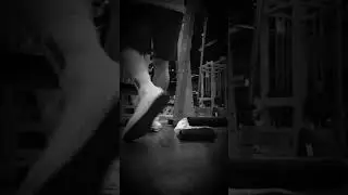 後腳抬高蹲 72.5 Kg