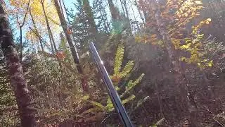 middle - late October. Woodcock are getting scarce.