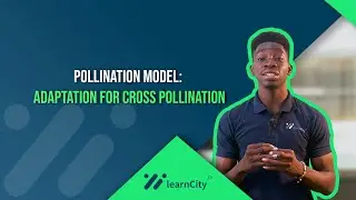 Plant Breeding: Condition That Favour Cross Pollination |Agricultural Science|WAEC|NECO|JAMB