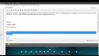 SEO X Ray Hero Review | Watch Video About SEO X Ray Hero Demo