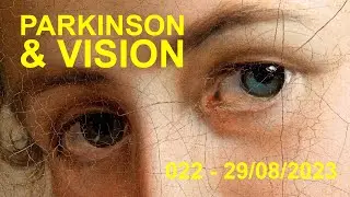 Parkinson's follies 022 : Parkinson et vision