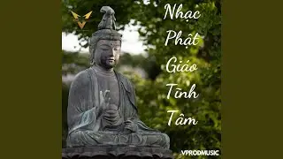 Nhạc Thiền Phật Gi&aacute;o Tĩnh T&acirc;m Mang Lại B&igrave;nh An Cho T&acirc;m Hồn