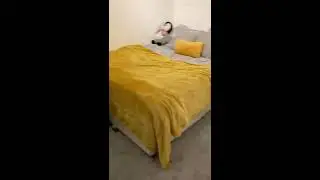 3-bed Student Flat | Plymouth | 20 Hamilton (Part 3)
