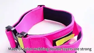 Tactical dog collar
