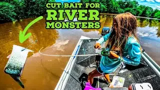 Using CUT BAIT For RIVER MONSTERS!!!