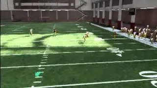 NCAA 13 DB Glitch