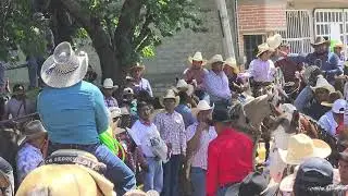 Apango Feria 2025