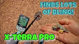 X-Terra Pro находит МНОГО блестящих предметов &bull; Металлоискатель