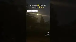 Full Moon in Porter Ranch,California #wilderbeds #fullmoon #moon #july