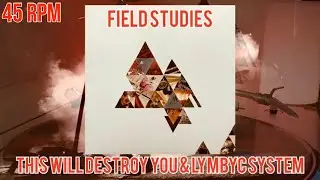 This will destroy you & Lymbyc system - Field Studies | 45 RPM | HQ | 2009 | MVRC | 28.2 |
