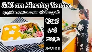 5:00 am morning routinen🌞 | එ දෙන්නාට හදපු බෙන්තෝ🥰| Life in japan 🇯🇵🇱🇰 Omurice💕