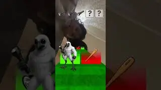 #популярный