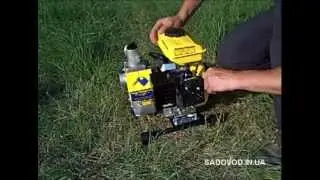 Мотопомпа Sadko WP-40 (12 м&sup3;/час) обзор
