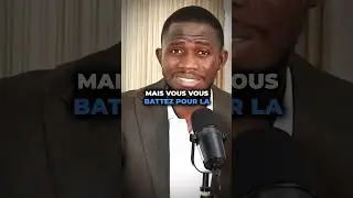 je dis la vérité a un panafricaniste #afrique #panafricain #histoire #politique #ousmanesonko