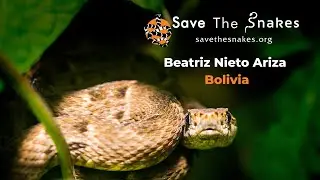 Human-Snake Conflict in Bolivia