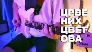 Црвених Цветова — Моррисси | guitar cover