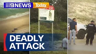 Queensland Police investigate suspected deadly dingo attack | 9 News Australia