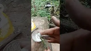 48മണിക്കൂർ മതി റോസ് വേരുപിടിക്കാൻ a1luckylifemedia